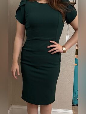 Calvin Klein Emerald Green Sheath Dress Sz 4 NWT Gold Zipper Elegant Work Office